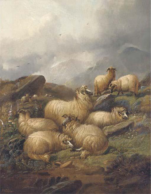 Alfred Morris - Sheep in a Highland landscape