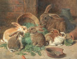 Alfred Richardson Barber - A Mother Rabbit And Her Young