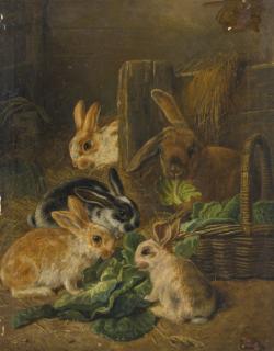 Alfred Richardson Barber - Rabbits