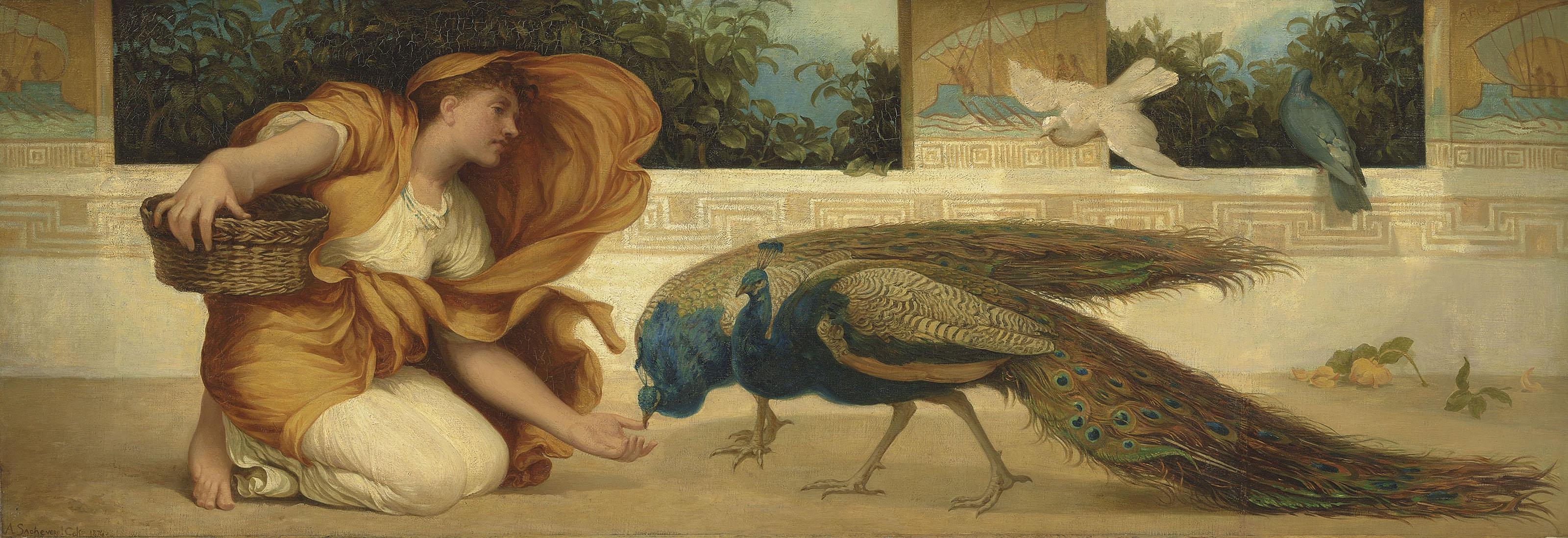 Alfred Sacheverell Coke - Peacocks