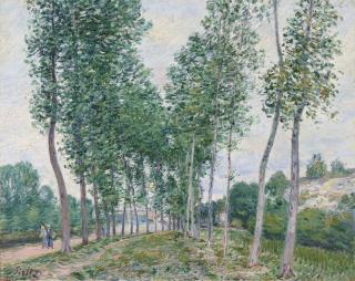 Alfred Sisley - L\'Allée Des Peupliers Au Bord Du Loing