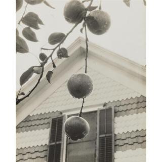 Alfred Stieglitz - \'Apples And Gable, Lake George\'