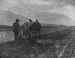Alfred Stieglitz - Ploughing (1904); and Miss S.R. (1904)