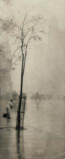 Alfred Stieglitz - Selected images from Camera Work, Vol 36, October 1911