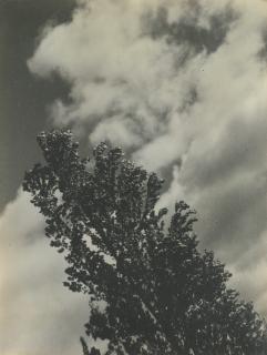 Alfred Stieglitz - Song Of The Sky And Trees