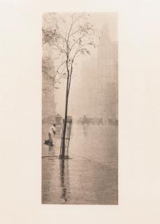 Alfred Stieglitz - Spring Showers