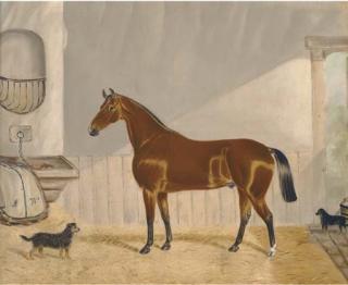 Alfred Wheeler - A chestnut hunter in a stable