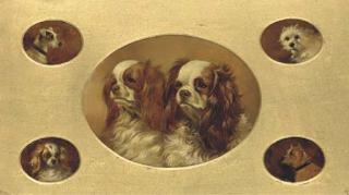 Alfred Wheeler - A Jack Russell, a West Highland Terrier, a Spaniel, a Terrier, and two King Charles Spaniels