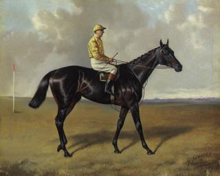 Alfred Wheeler - Cheers with jockey up, on a racecourse