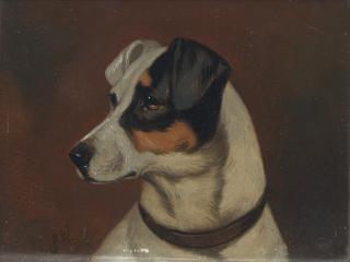 Alfred Wheeler - Head study of a Fox Terrier