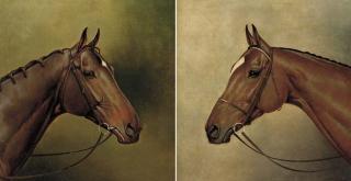 Alfred Wheeler - The Derby winner Sunstar; and The Derby winner Lemburg