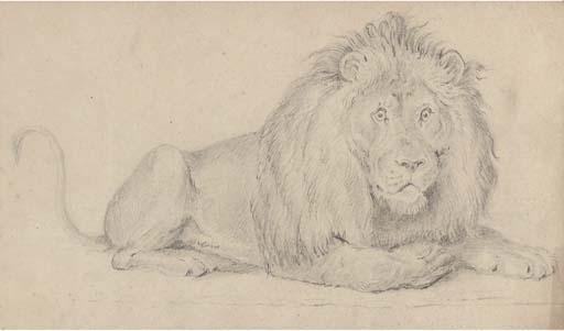 Alfred William Strutt - A Folio of Unframed Pencil And Black Chalk Studies of Animals Including Lions, Dogs, Cattle And Sheep, And Various Landscape And Portrait Sketches, All By The Same Hand (One Illustrated)
