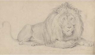 Alfred William Strutt - A Folio of Unframed Pencil And Black Chalk Studies of Animals Including Lions, Dogs, Cattle And Sheep, And Various Landscape And Portrait Sketches, All By The Same Hand (One Illustrated)