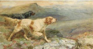 Alfred William Strutt - An English and a Gordon Setter on the point
