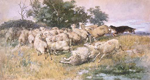 Alfred William Strutt - Rounding-up-Sheep