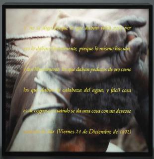 Alfredo Jaar - Lightbox Gold series