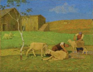 Alfredo Prosa - La Tosatura