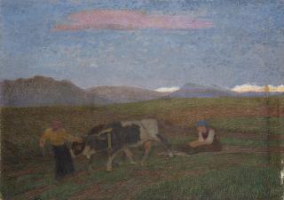 Alfredo Prosa - Lavoro nei campi