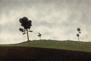Algernon Cecil Newton, R.A. - The ploughed field