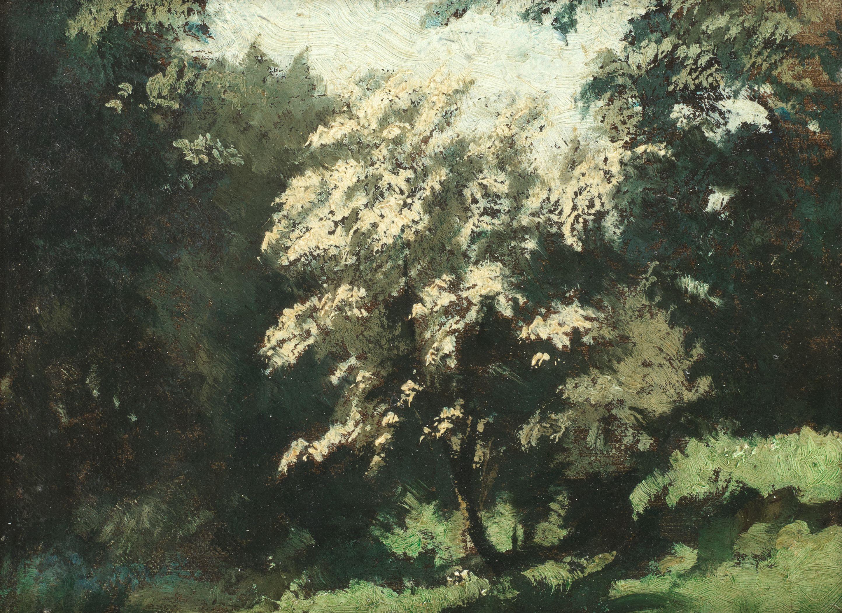 Algernon Cecil Newton R.A. - Tree in a Meadow