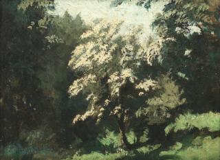 Algernon Cecil Newton R.A. - Tree in a Meadow