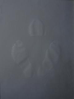 Ali Kazim - Untitled