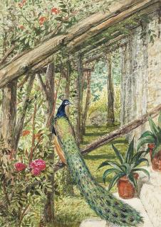 Alice Boyd - Steps to the studio, Penkill House; Cappella di S. Clemente, S. Marco