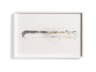 Alicja Kwade - CC In-Between