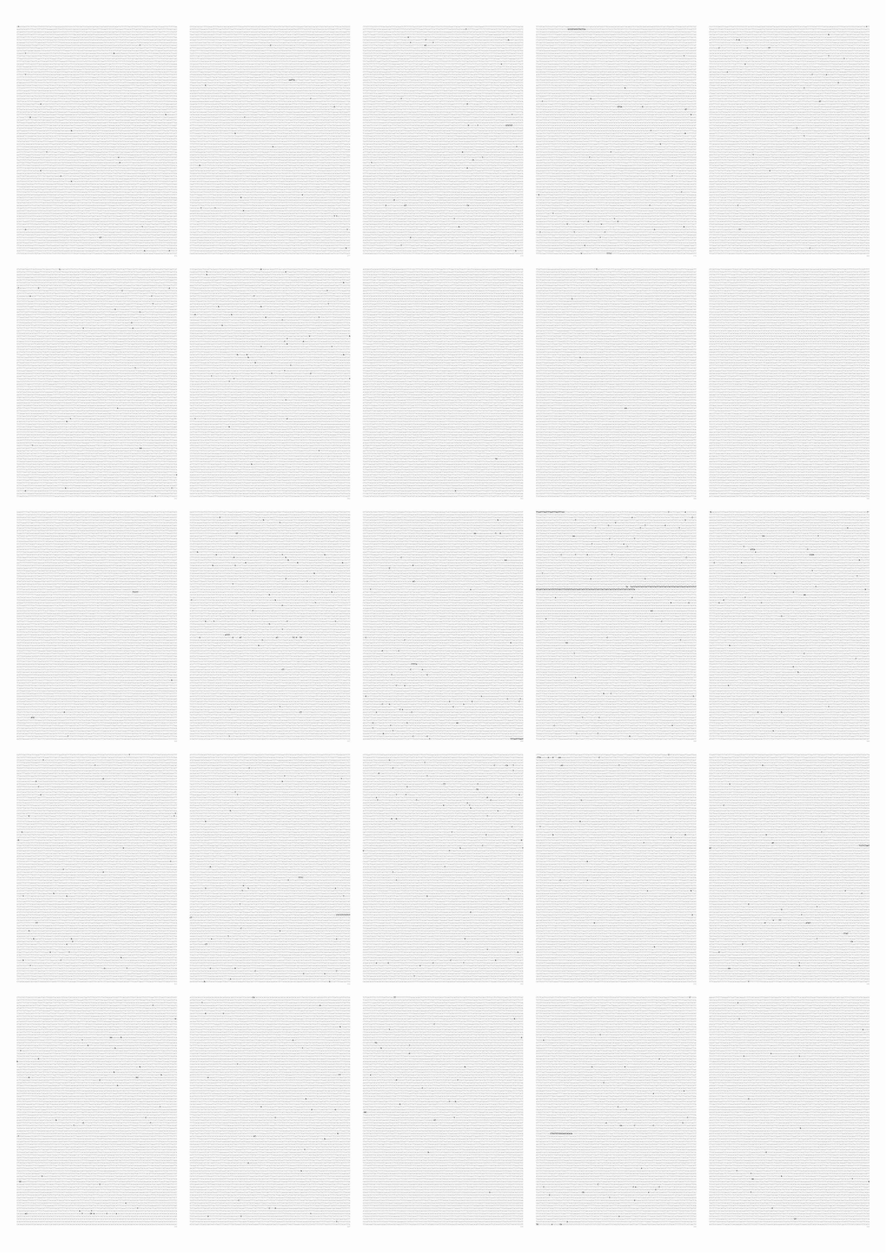 Alicja Kwade - Selbstportrait (10361 x 25p)