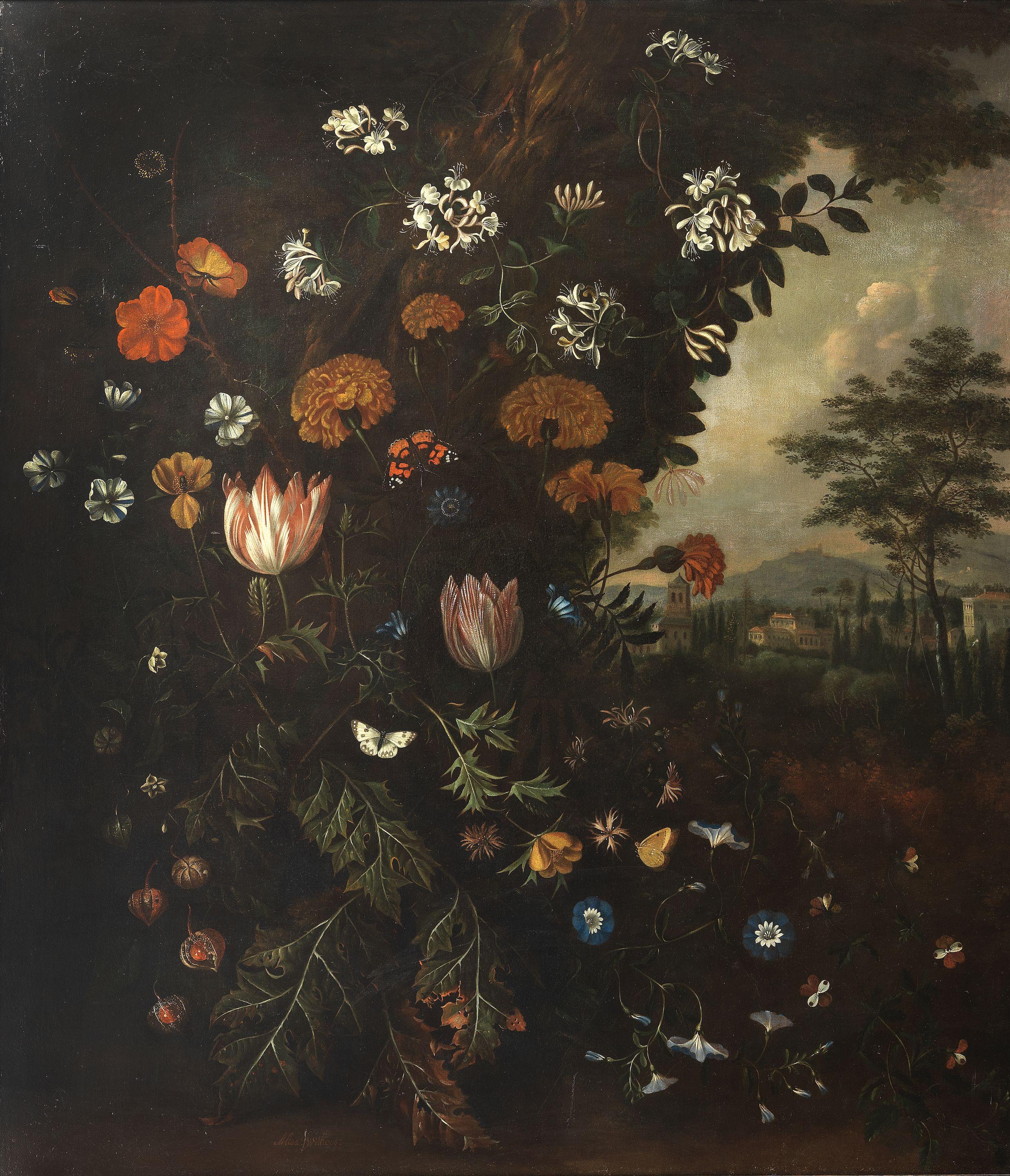 Alida Withoos - Tulips, chrysanthemums, honeysuckle, convolvulus and other flowers