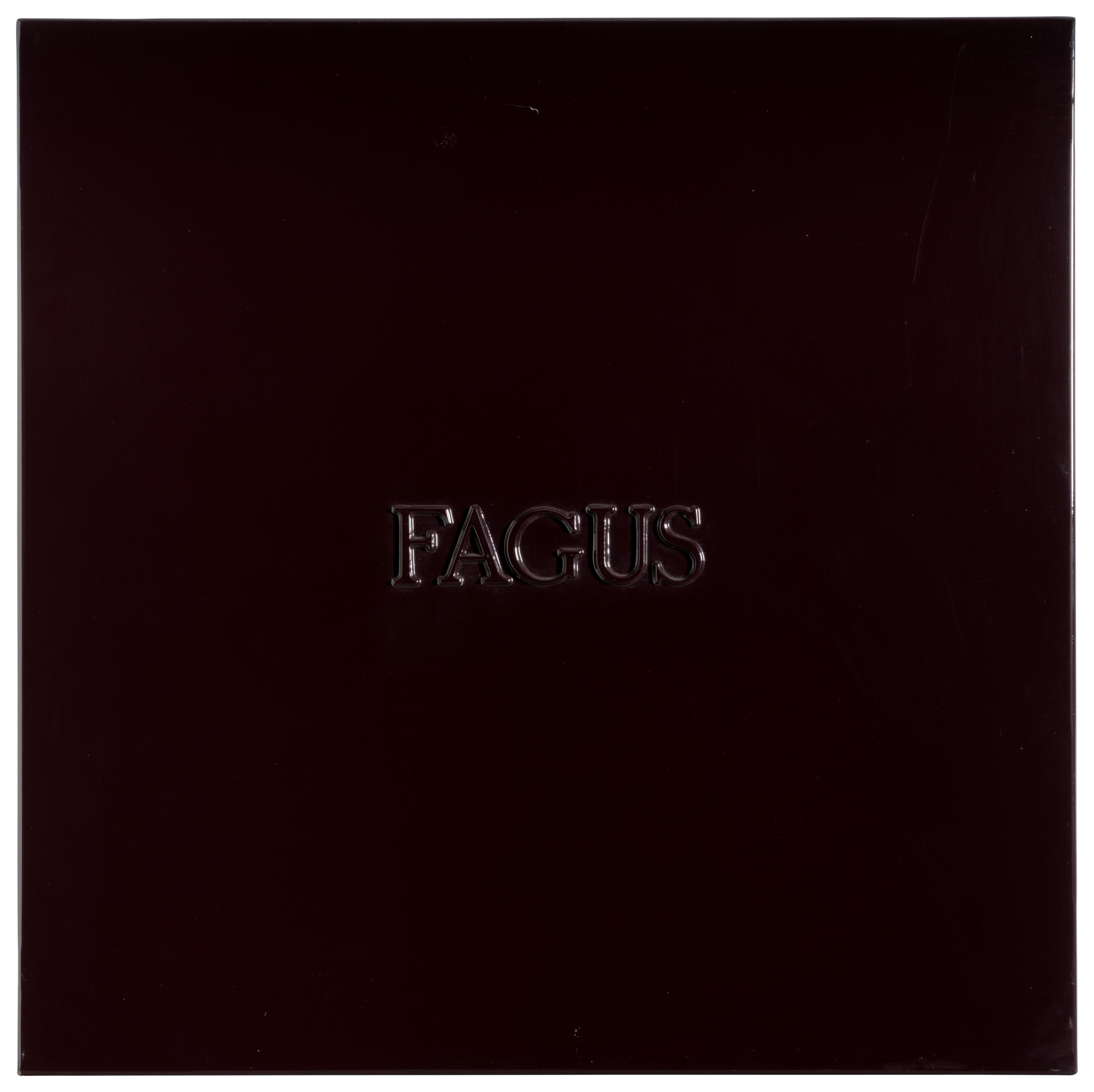 Alighiero Boetti - Fagus