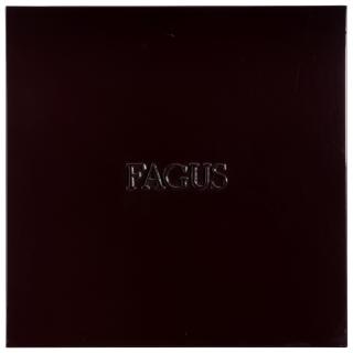 Alighiero Boetti - Fagus