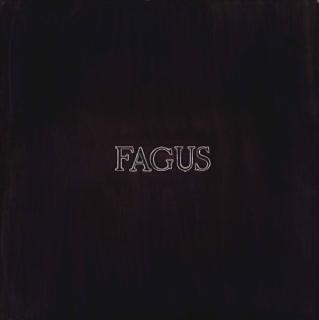 Alighiero Boetti - Fagus