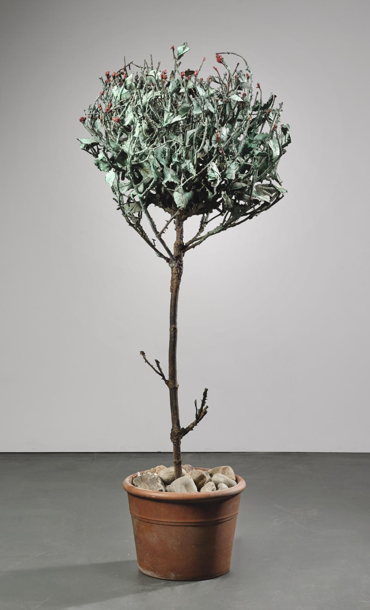 Alik Cavaliere - Albero Con Frutti Rossi