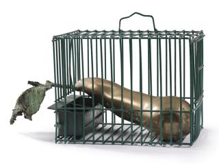 Alik Cavaliere - Il Frutto Prigioniero