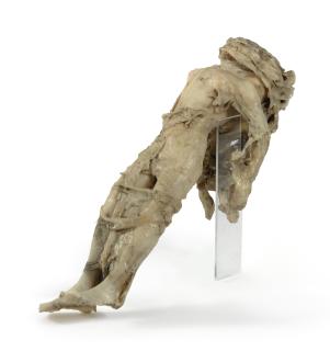 Alina Szapocznikow - Fiancée Folle Mariée