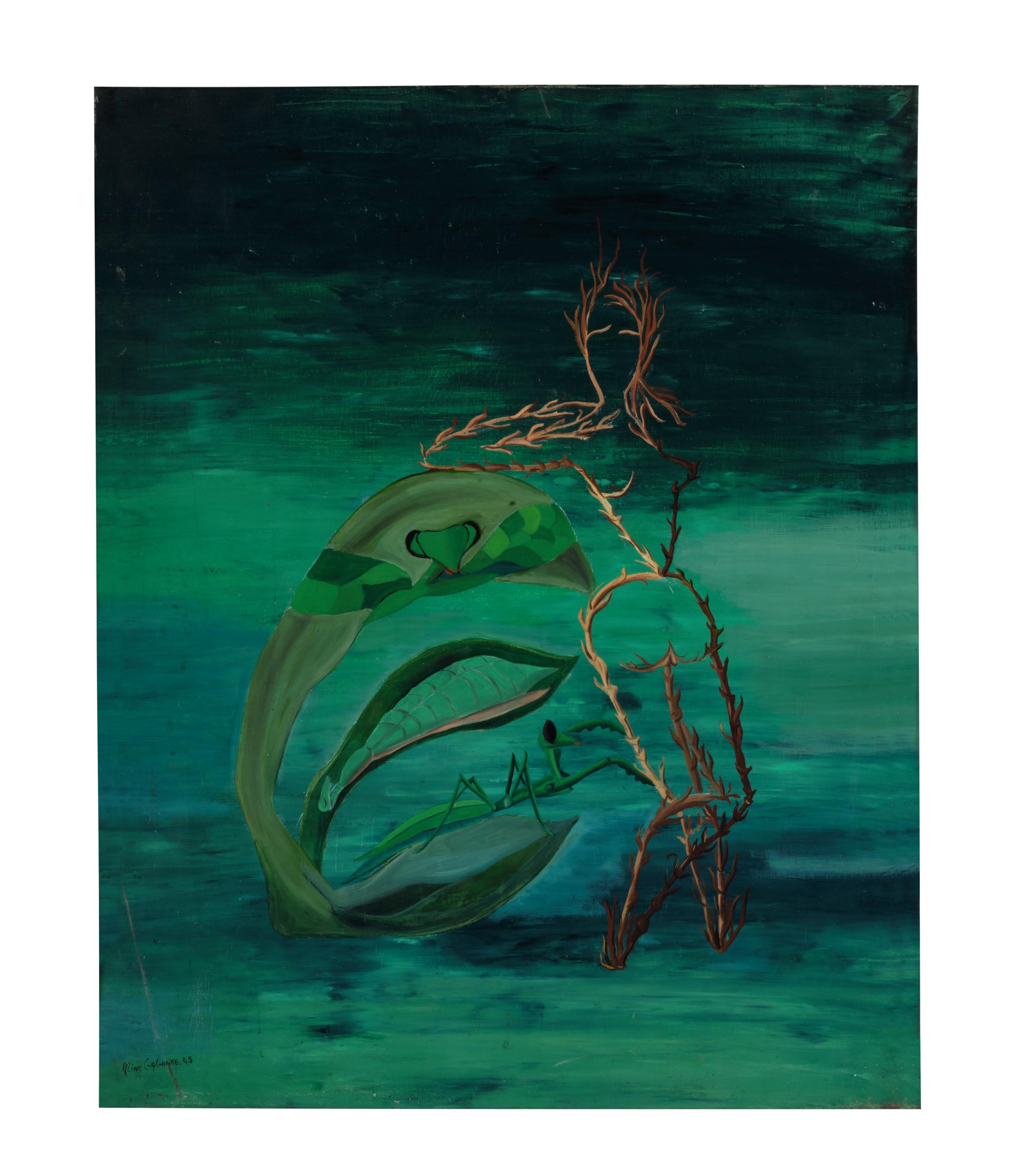 Aline Gagnaire - La transformation