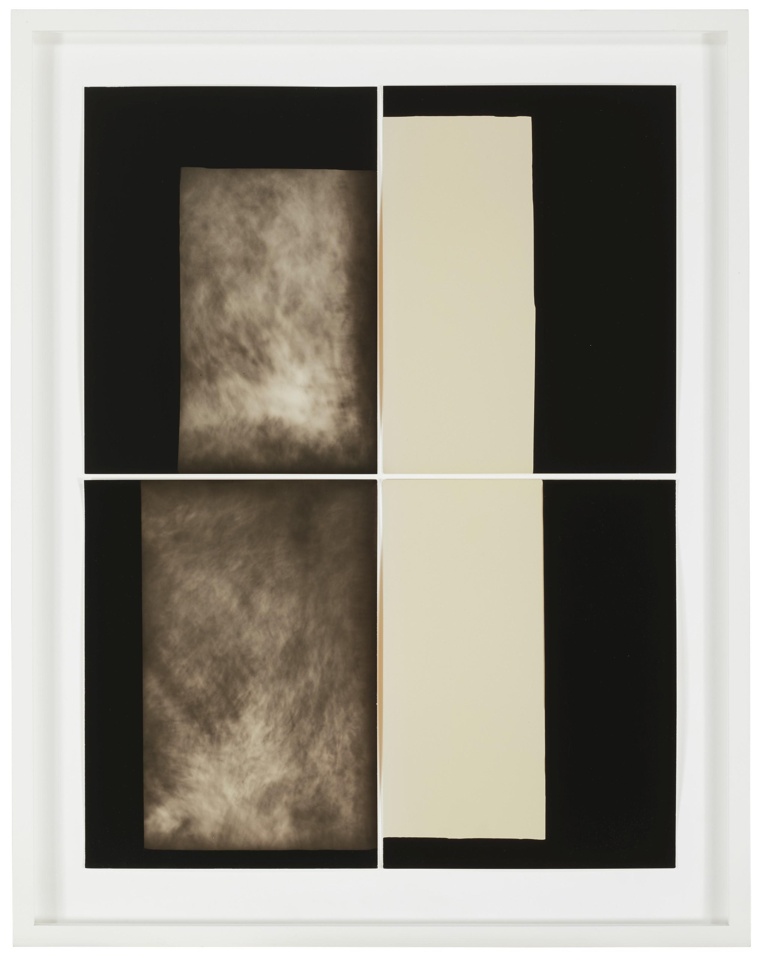 Alison Rossiter - Lumière Lumitra (Chamois), exact expiration date unknown, ca. 1940s, processed 2015 (#7)