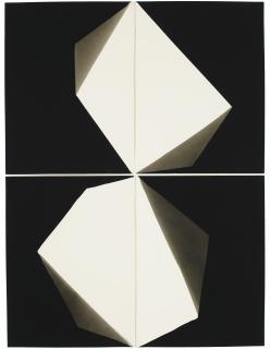 Alison Rossiter - Lumière Lumitra, exact expiration date unknown, ca. 1960, processed in 2014 (#8)