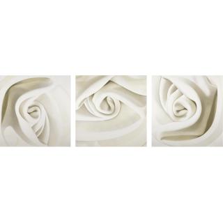 Alison Watt - Blanche Moreau