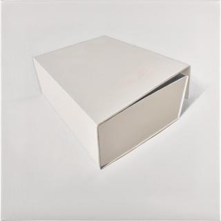 Alison Watt - Parallel