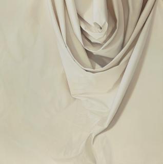 Alison Watt - Rosebud