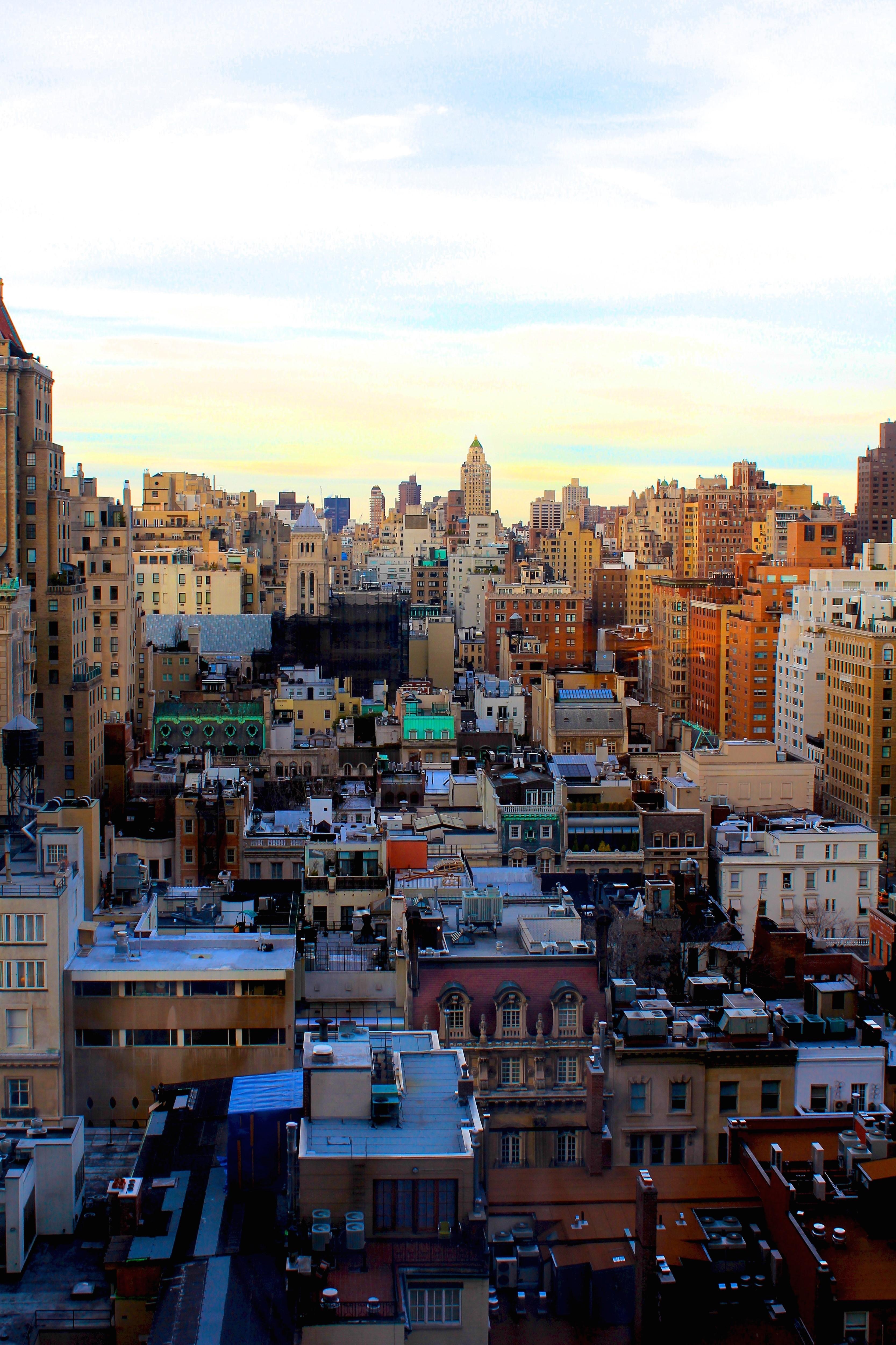 Alix Bickson - Concrete Jungle