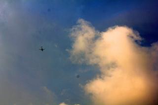 Alix Bickson - Rows and flows of angel hair