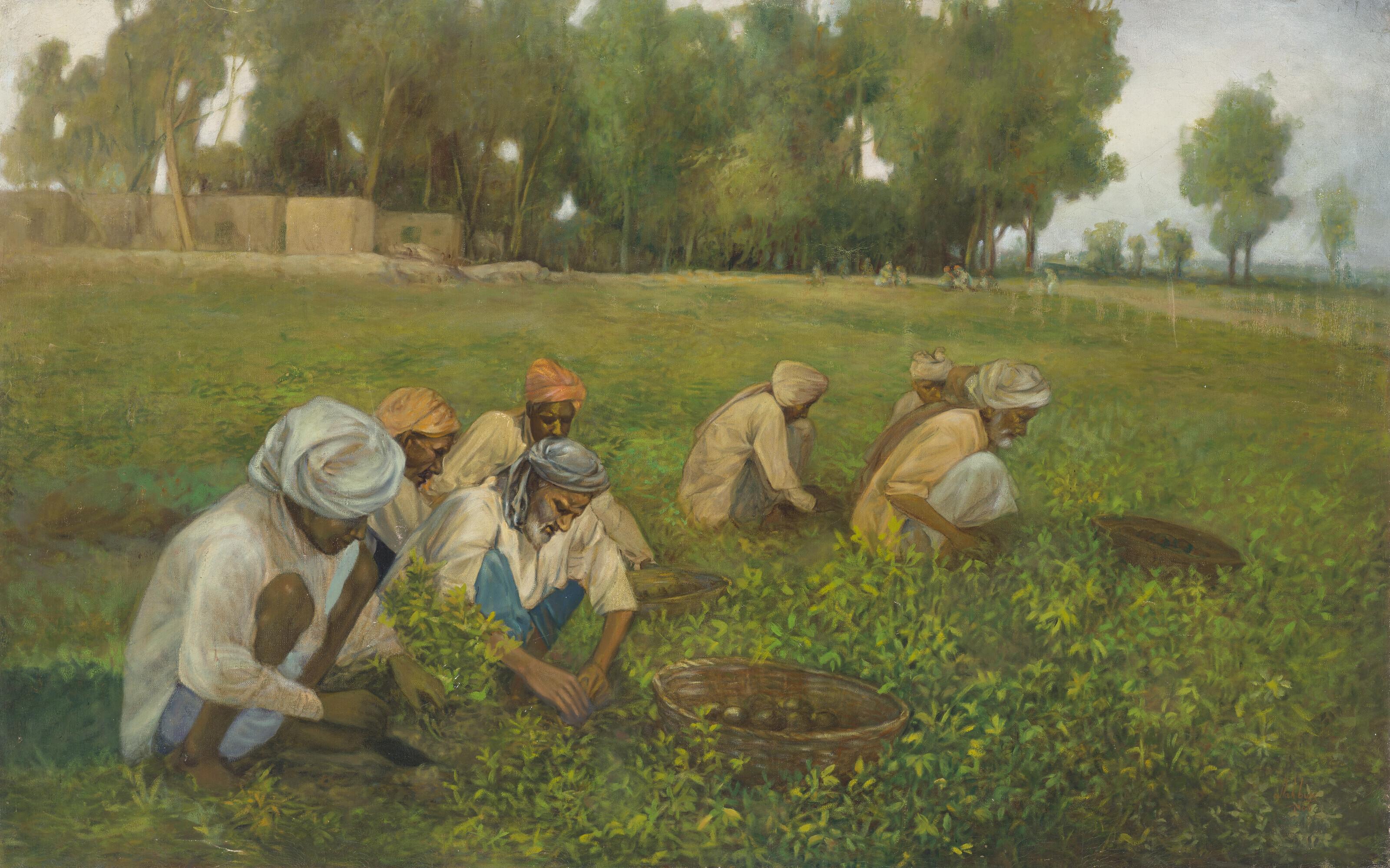 Allah Bux - Untitled (Potato Harvest)