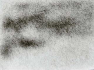 Allan Mc Collum - Perpetual photo # 155a