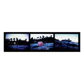 Allan Sekula - Dear Bill Gates (Triptych)