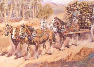 Allan Thomas Bernaldo - Draught Horses hauling Timber