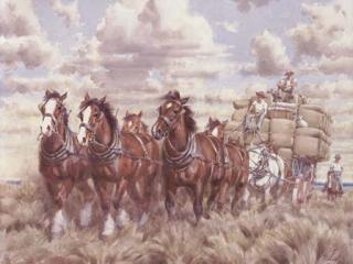 Allan Thomas Bernaldo - Draught Horses With Stockmen