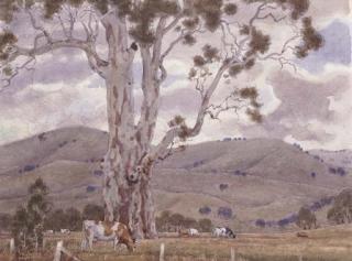 Allan Thomas Bernaldo - Storm Clouds Elmhurst, Victoria